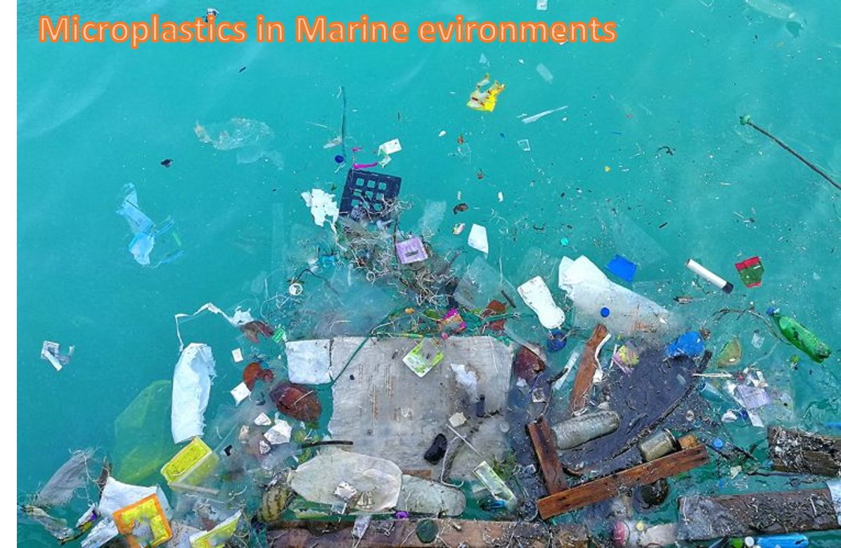 Hạt vi nhựa và sự ảnh hưởng đối với môi trường biển Việt Nam
