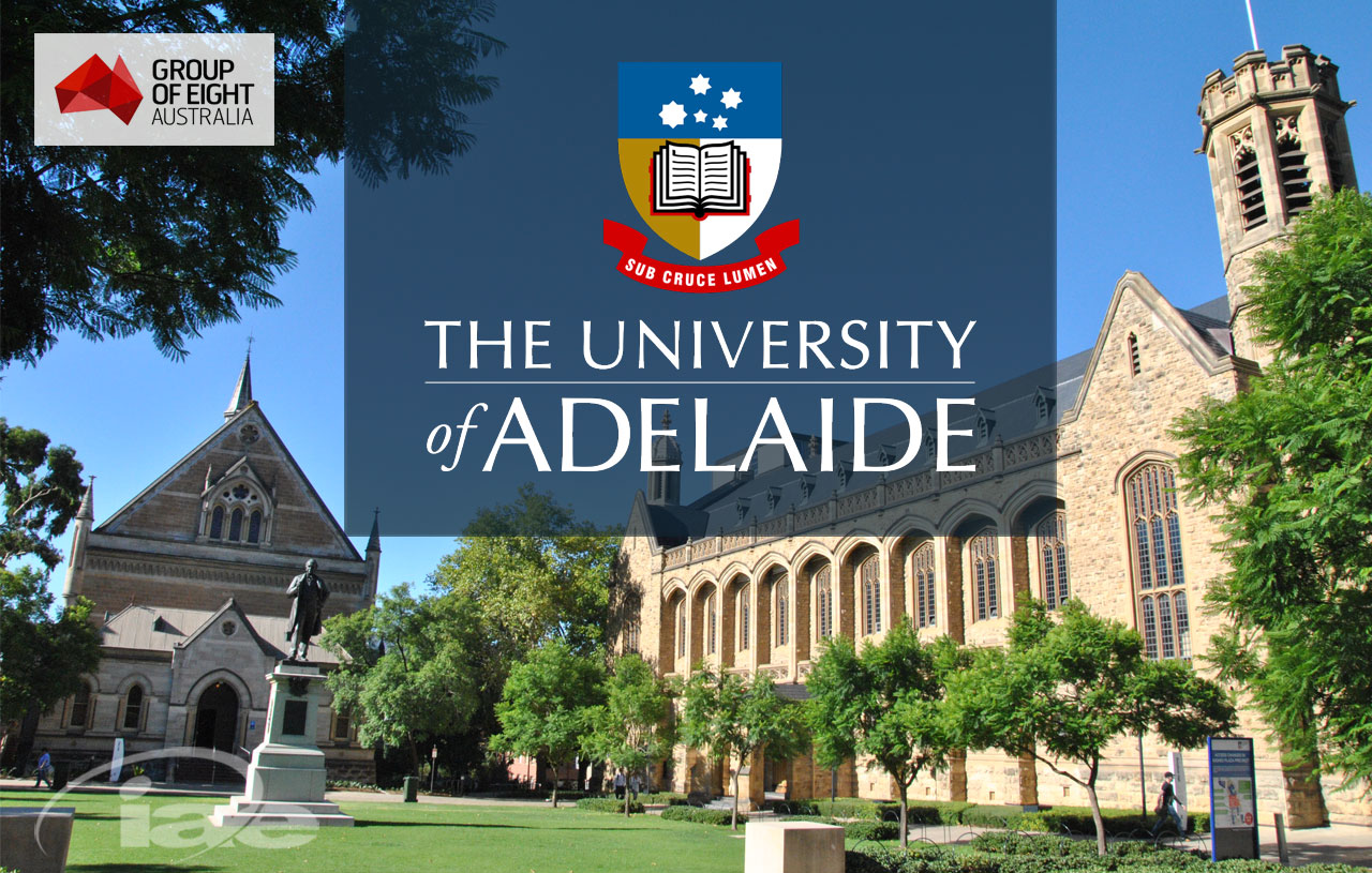 Khóa đào tạo trực tuyến về kỹ năng giao tiếp trong nghiên cứu của ĐH Adelaide, Australia